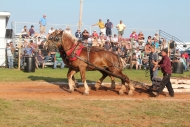 exposition_festival_2011-16