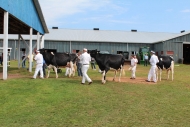 exposition_festival_2011-39