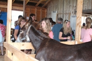 exposition_festival_2011-42
