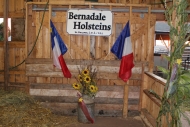 exposition_festival_2011-45