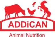ADDiCAN (1)